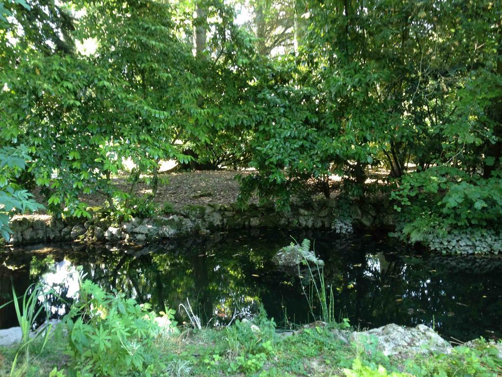 Mer Chambre D'Hotes Les Rives De La Tronne מראה חיצוני תמונה